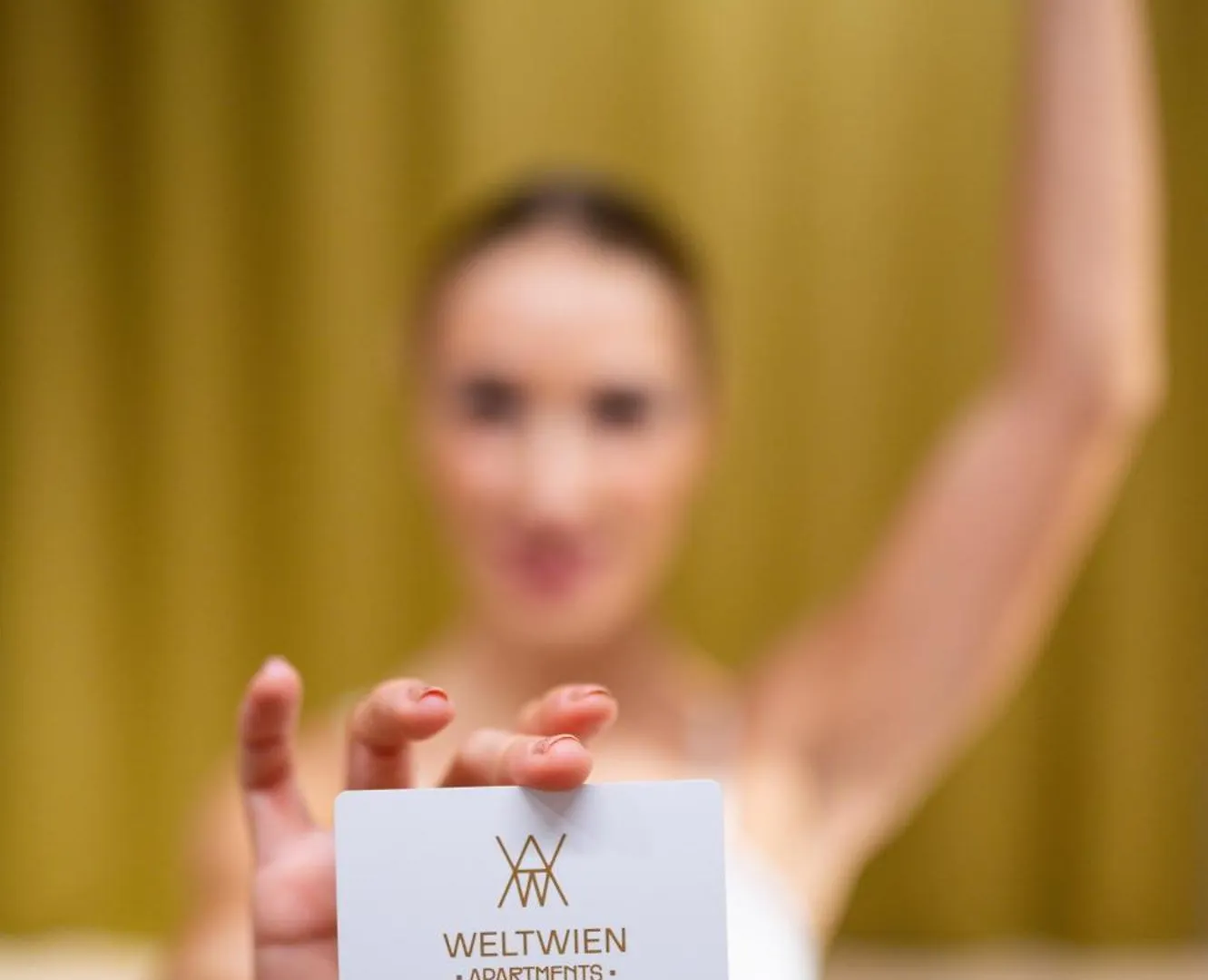 **** Aparthotel Weltwien Luxury Art Apartments & Free Parking Austria