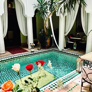 Alida Marrakesh